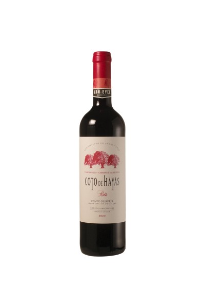 Bodegas Aragonesas 'Coto de Hayas - Roble' 2024