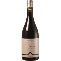 Bodegas Iturria 'Valdosan' 2020