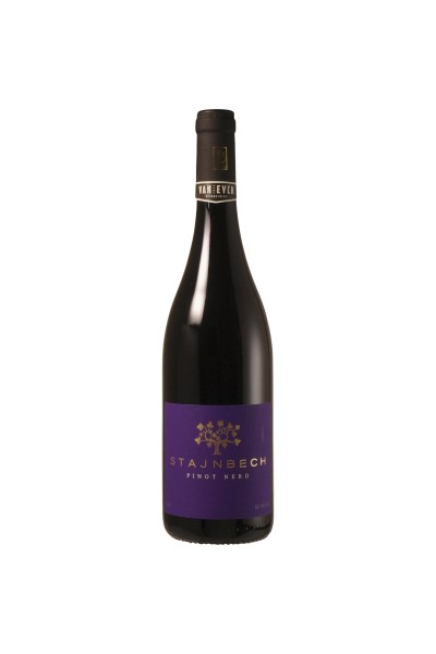 Borgo Stajnbech - Pinot Nero 2024
