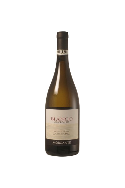 Morgante 'Bianco di Morgante' 2024