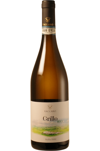 Vaccaro - Grillo 2025
