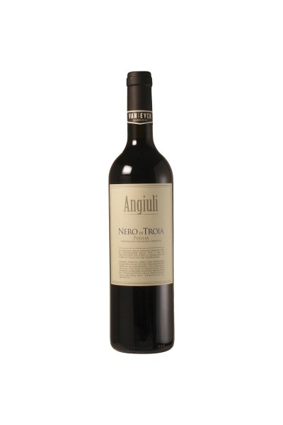 Angiuli Donato - Nero di Troia 2024
