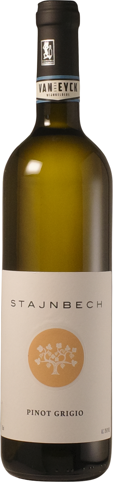 Borgo Stajnbech - Pinot Grigio 2024