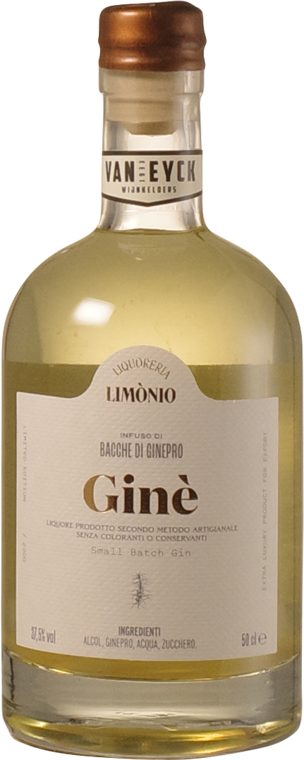 Limonio 'Giné'