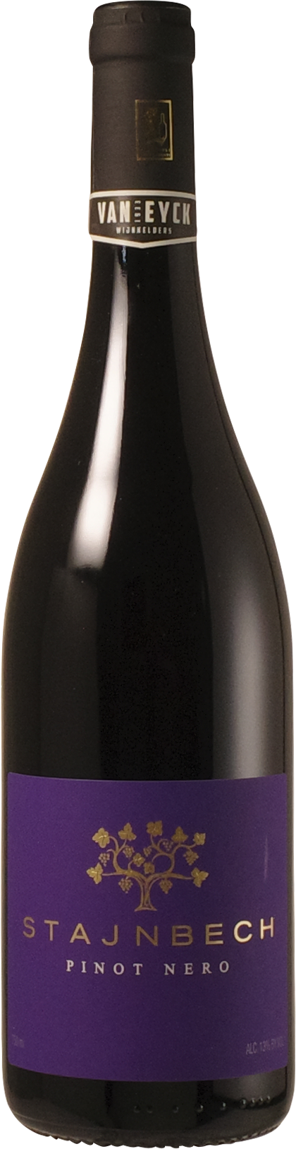 Borgo Stajnbech - Pinot Nero 2023