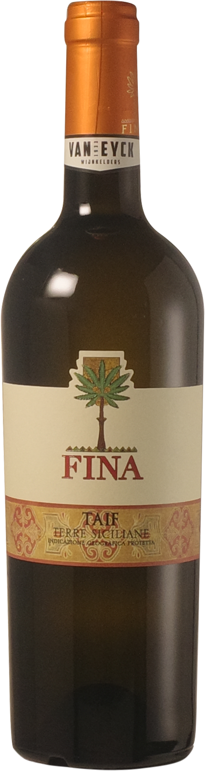 Cantina Fina 'Taif' 2024