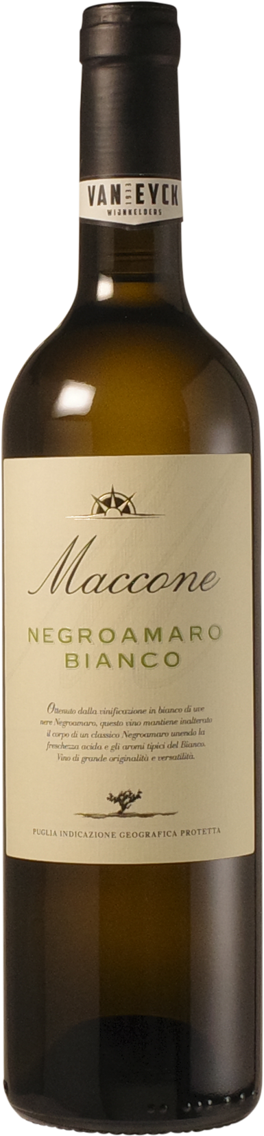 Angiuli Donato 'Maccone - Negroamaro Bianco' 2024