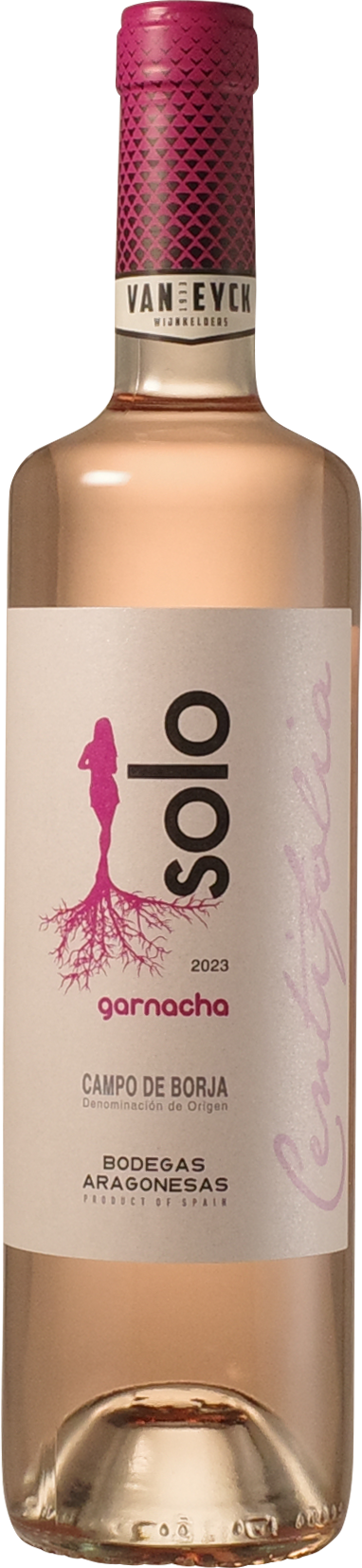 Bodegas Aragonesas 'Solo Centifolia' 2024