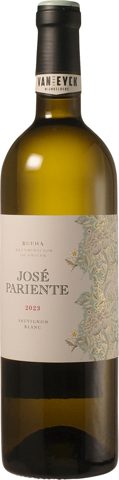 José Pariente - Sauvignon Blanc 2024