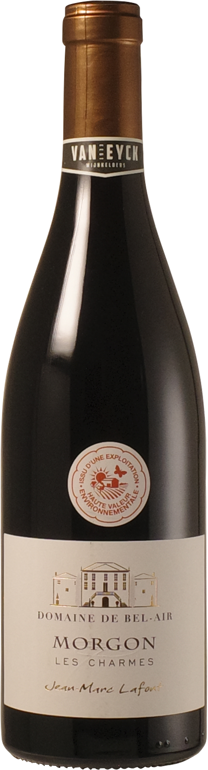 Domaine de Bel-Air - Morgon 2022