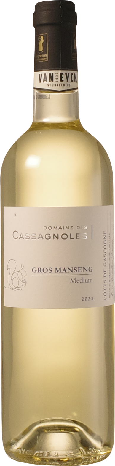 Domaine des Cassagnoles - Gros Manseng 'Medium' 2023