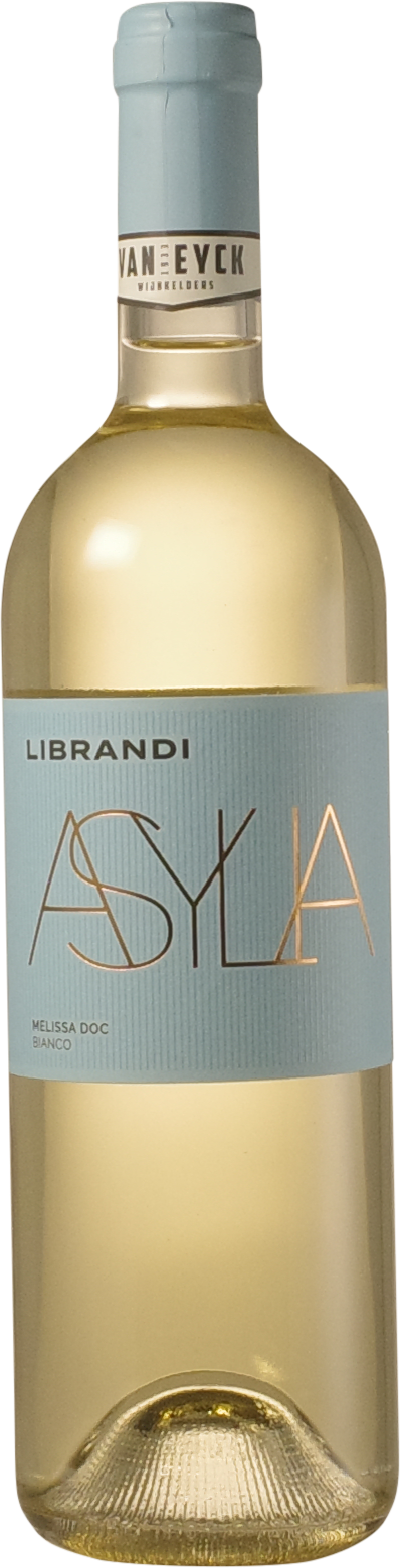 Librandi 'Asylia Bianco' 2024