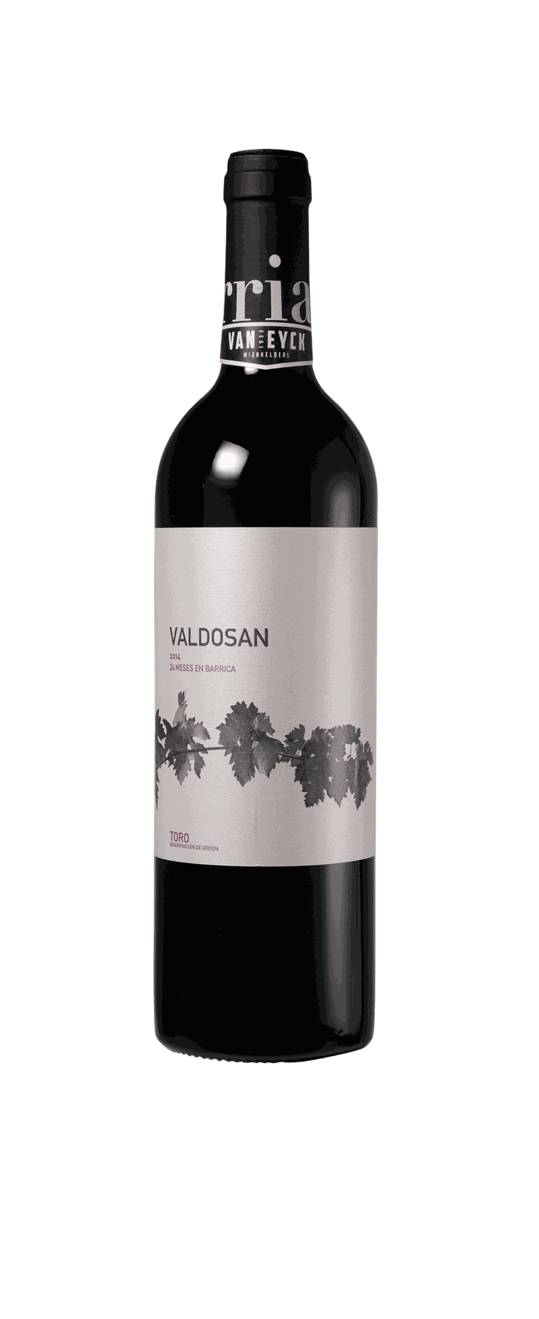 Bodegas Iturria 'Valdosan' 2020