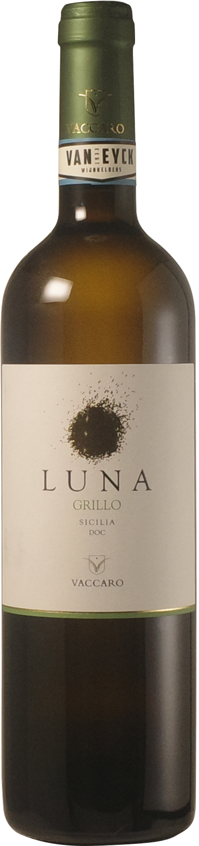 Vaccaro 'Luna' - Grillo 2024