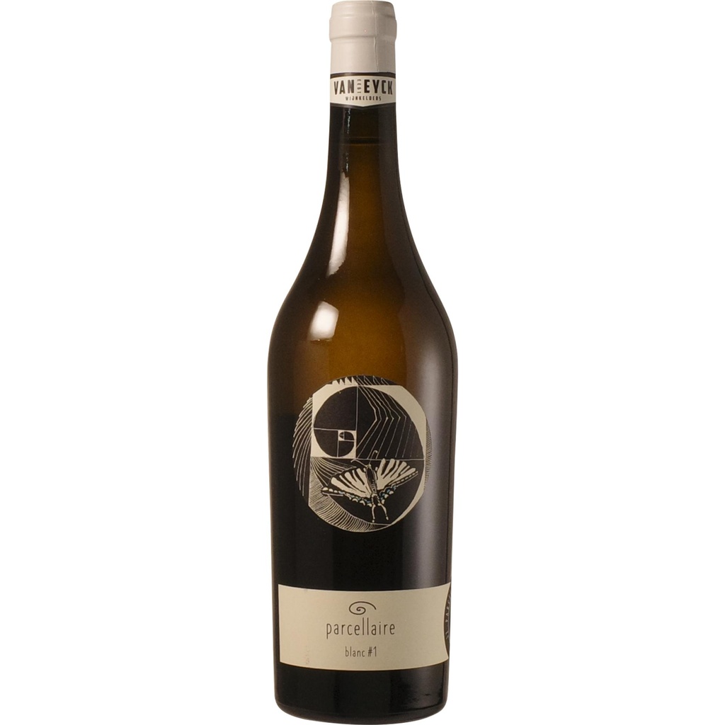 Johannes Zillinger 'Parcellaire Blanc #1' 2021